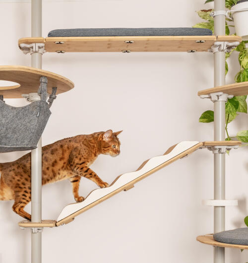 Un gato utilizando el árbol para gatos de interior Freestyle equipado con varios accesorios.