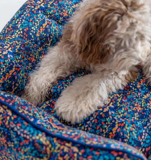 Mullidas patas de perro tumbadas en una cama para perros con estampado de neón Omlet nest