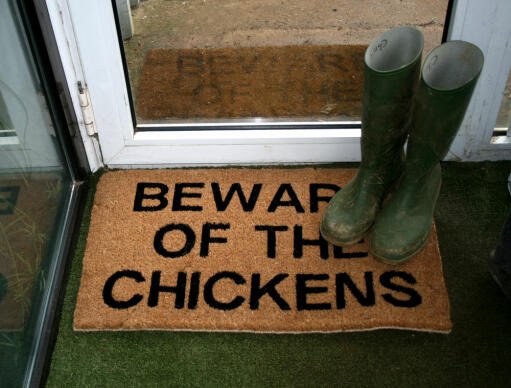 Cuidado con el felpudo de los pollos con botas de agua encima