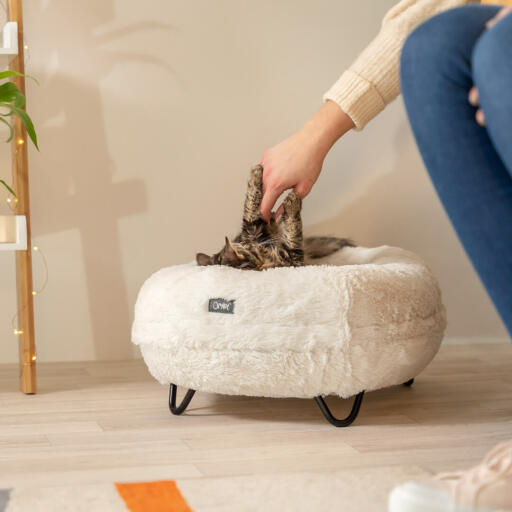 Una cama para gatos blanca Omlet con patas negras