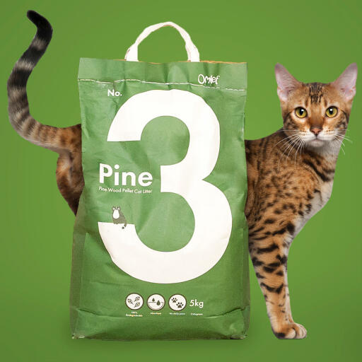 Una bolsa de arena para gatos de pino con un gato detrás.