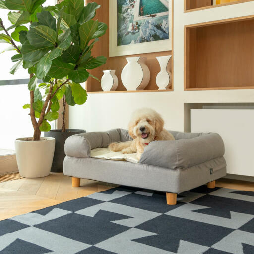 Perro acostado en Omlet cama de espuma de memoria para perros en gris con pies redondos de madera y Omlet Lux manta suave para perros