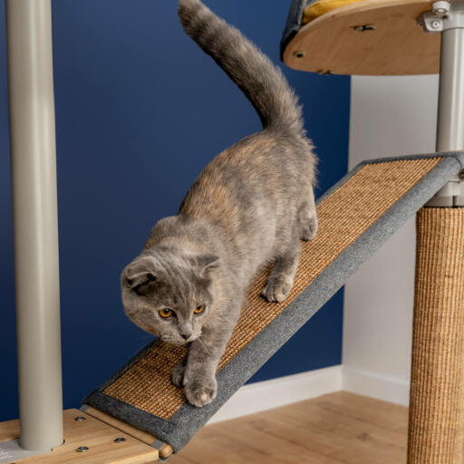 Cat on Freestyle plataforma de árbol para gatos de interior de suelo a techo con sisal reemplazable