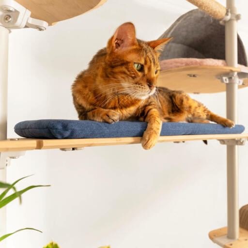 Gato tumbado en un cojín azul tejido de Freestyle árbol para gatos de suelo a techo