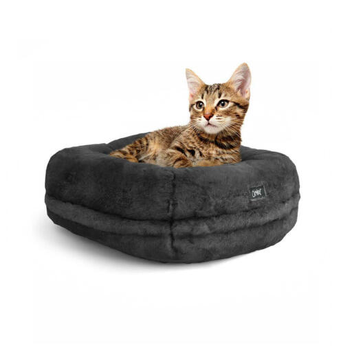 Lujosa y supersuave cama para gatos Maya Donut en color gris oscuro con un gato sentado en ella