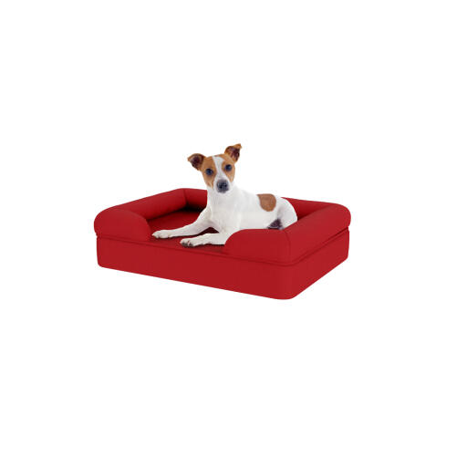 Perro sentado en una cama para perros de espuma con memoria de color rojo merlot