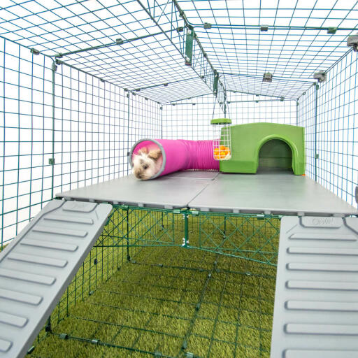 Omlet Zippi corral para conejos con plataformas Zippi, refugio verde Zippi, túnel de jueGo Zippi y conejo
