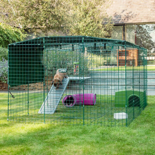 Omlet Zippi corral para conejos con plataformas Zippi, refugio verde Zippi y dos conejos
