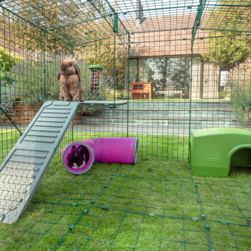 En el interior Omlet Zippi corral para conejos con Zippi plataformas, refugio verde Zippi, Zippi túnel de jueGo, Caddi soporte para Golosinas y dos conejos