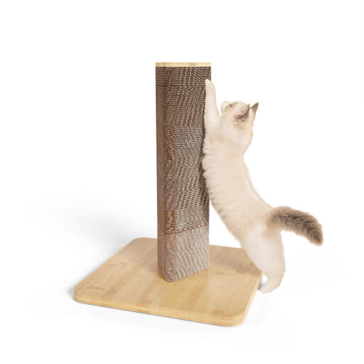 Corto Stak rascador para gatos con base de bambú