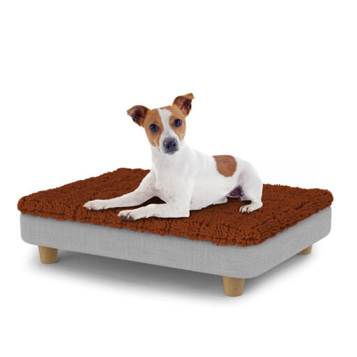 Perro sentado en una pequeña cama para perros Topology con topper de microfibra y patas redondas de madera