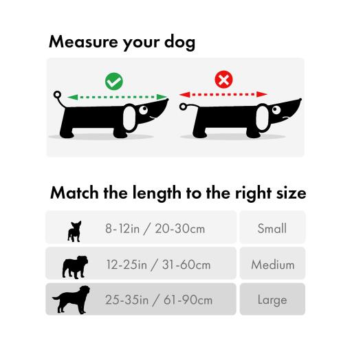 Cómo medir a su perro