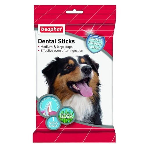 Beaphar dental sticks para perros medianos y grandes