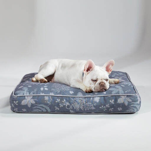 Bulldog francés durmiendo en una cama para perros cojín de diseño forest fall grey diseñada por Omlet