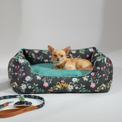 Chihuahua acostado en una cama nido Omlet en el patrón de prado de medianoche