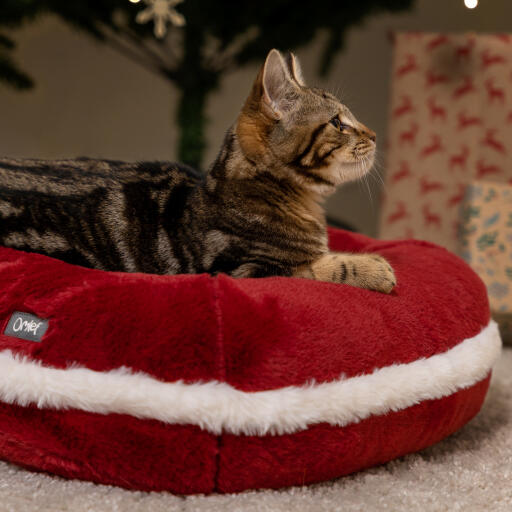 Gatito en el Omlet cama navideña para gatos