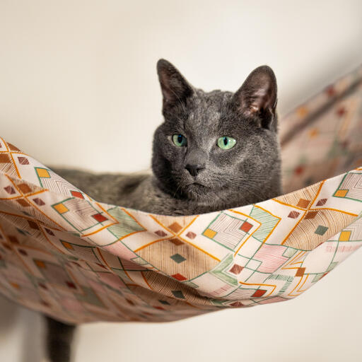 Gato mirando desde una tumbona para gatos de interior Freestyle 