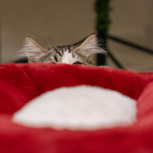Cama navideña para gatos