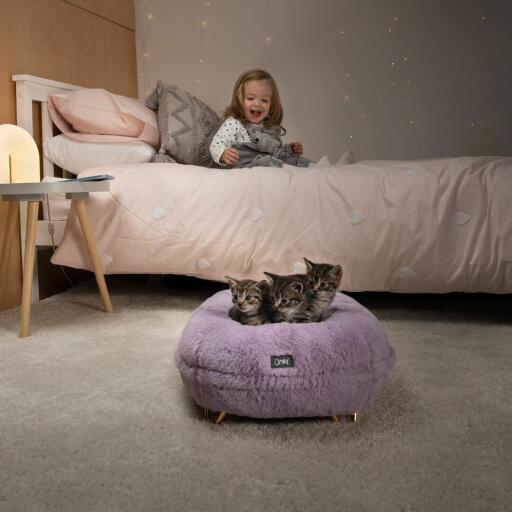 Niña pequeña mirando a sus gatitos durmiendo en su suave cama para gatos tipo donut