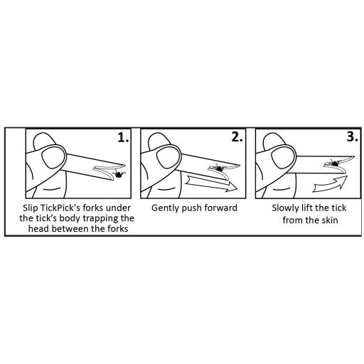 Instrucciones de la garrapata de patas largas