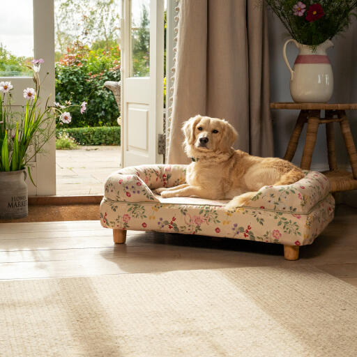Un perdiguero miniatura Golden retriever descansando en la cama para perros bolster morning meadow