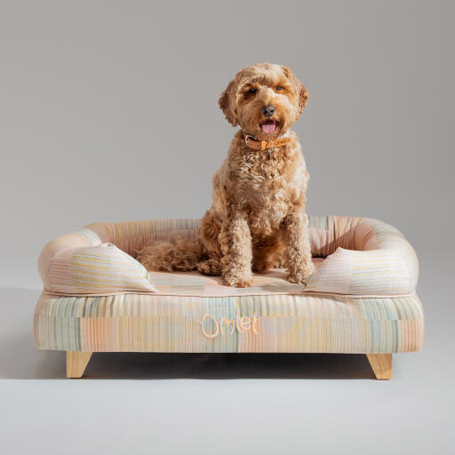 Un Goldendoodle sentado encima de la cama para perros pawsteps natural bolster