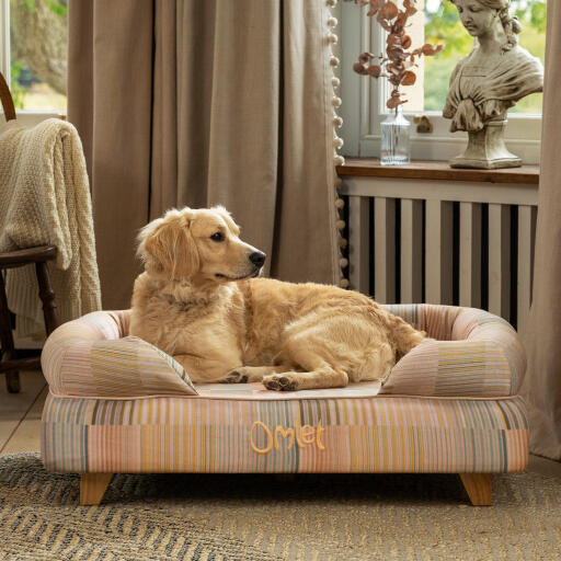 Un retriever miniatura Golden se relaja en la cama para perros pawsteps natural bolster