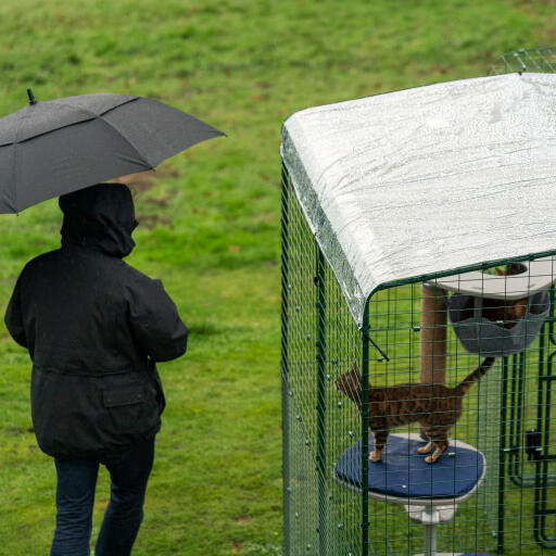 Dueña con paraguas junto a gato en un corral con cubierta transparente