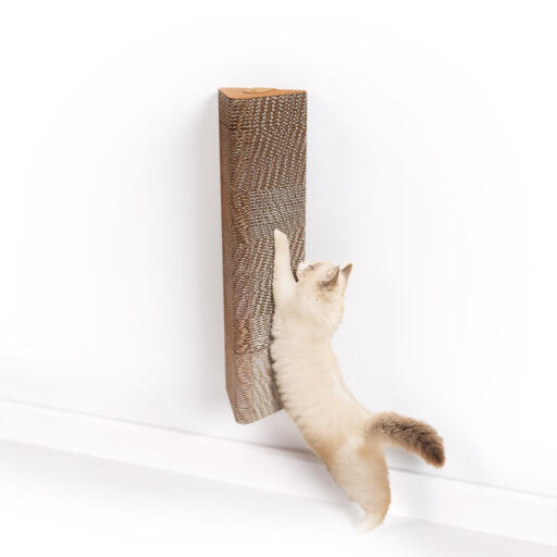 Gato arañando un rascador de cartón para gatos montado en la pared
