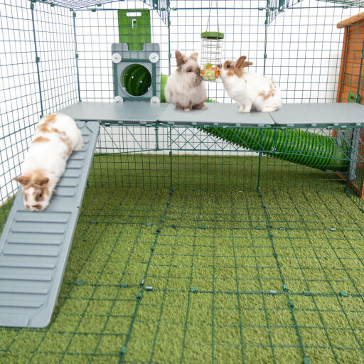 Parque para conejos Zippi de Omlet con plataformas Zippi, dispensador de alimentos Caddi, túnel Zippi conectado y tres conejos