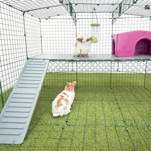 Parque para conejos Zippi de Omlet con plataformas Zippi, dispensador de alimentos Caddi, caseta Zippi púrpura y dos conejos