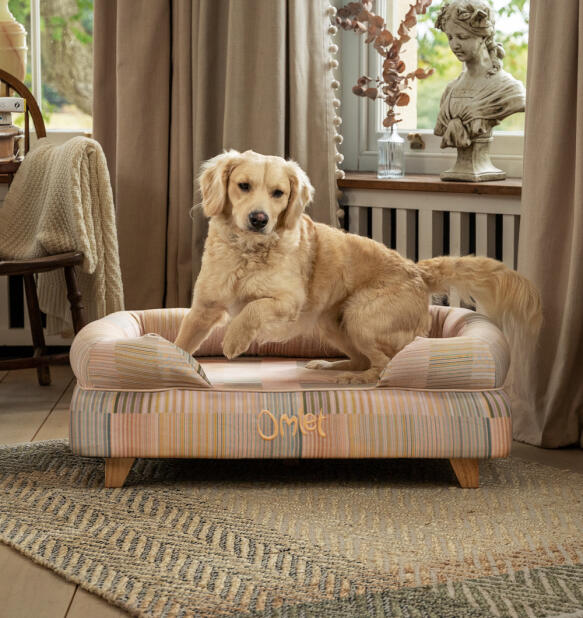 Labrador saltando de cama para perros bolster levantado en pawsteps impresión natural con patas cuadradas de madera.