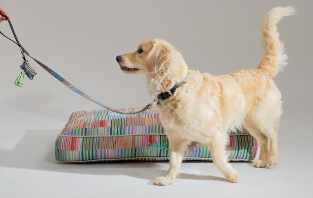 Retriever con cama cojín para perros de estampado de autor de Omlet y correa y porta bolsas para excrementos a juego
