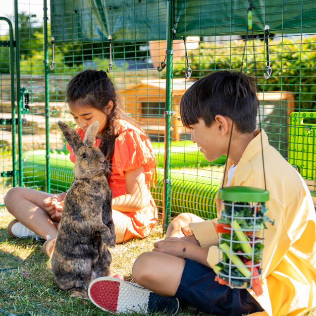 Niños y conejos jugando dentro de un gran corral al aire libre