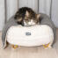 Gato durmiendo en Omlet Maya cama de gato en Snowbola blanca con Gold pies de horquilla y Omlet Lux manta de gato urioso