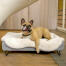 Perro acostado en Omlet Topology cama para perros con topper de piel de oveja y pies redondos de madera