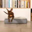 Perro salchicha saltando en Omlet Topology cama para perros con funda acolchada