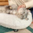 Gato acostado y siendo cosquillas en Omlet Maya donut cama de gato en Snowbola blanca y negra pies de horquilla