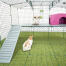 Omlet Zippi corral para conejos con plataformas Zippi, refugio púrpura Zippi, soporte para Golosinas Caddi y conejos