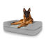 Perro sentado en la gran cama para perros Topology con almohadilla