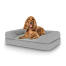 Perro sentado en la cama para perros mediana Topology con almohadilla