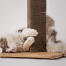 Gato esponjoso acurrucado alrededor de cartón rascador de gato