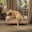 Un retriever miniatura Golden bajándose de la cama para perros pawsteps natural bolster