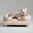 Un bulldog francés relajándose en la cama para perros pawsteps natural bolster