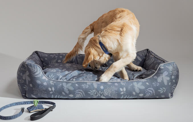 Retriever en una cama nido grande de diseño sostenible para perros de Omlet