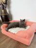 Un gato descansando en una alfombra fresca que está sobre una cama para gatos.