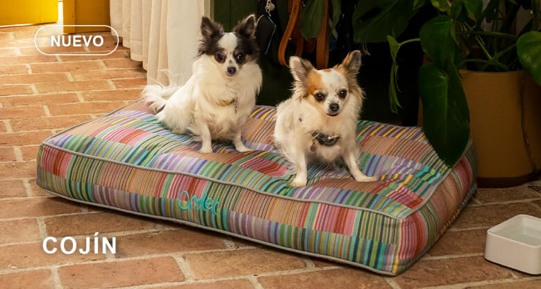 Dog walk collection cojín cama para perros