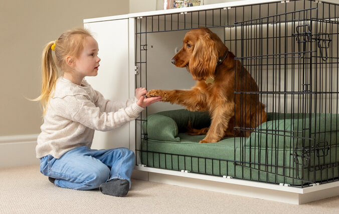 ñino jugando con un perro que está dentro de la jaula