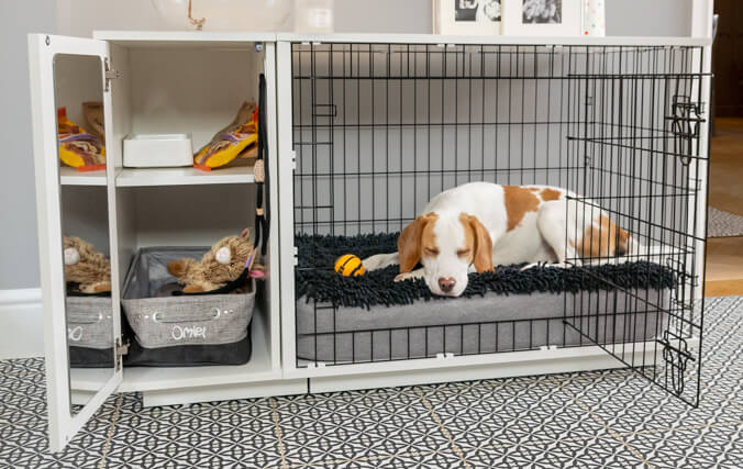 perro durmiendo dentro de una moderna jaula para perros