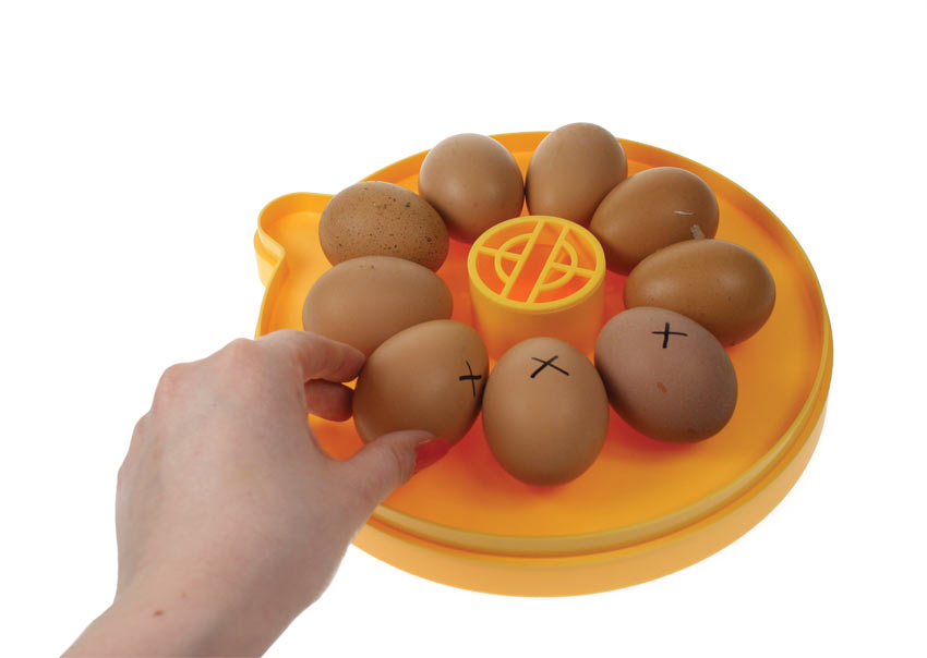 Volteo de los huevos dentro de la incubadora Brinsea Mini Eco